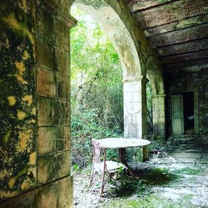 Meet your Posher, Sharlene